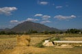 Beautiful mountains, rice straw in the fields, white cloud and blue sky background Royalty Free Stock Photo