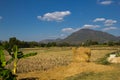 Beautiful mountains, rice straw in the fields, white cloud and blue sky background Royalty Free Stock Photo