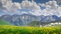 Beautiful mountains scenery with flowers