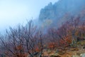 Beautiful mountains, view of bare trees and rocks, autumn landscape