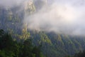 Beautiful mountans valley with forest in fog and clouds Royalty Free Stock Photo