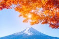 Beautiful Mt.Fuji with red maple leaf in autumn in Japan Royalty Free Stock Photo