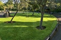 Beautiful mulch tree circles on the lawn in park in autumn