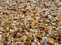 Beautiful multi-colored wet stones and sand on the beach. Royalty Free Stock Photo