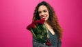 Beautiful multi-ethnic woman holds bunch of red roses, romance, pink studio