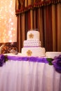 Beautiful multi-tiered wedding cake with purple tones Royalty Free Stock Photo