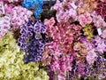 Beautiful multicolor artificial Orchid