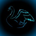 Beautiful multicolored abstract silhouette of a swan. One line drawing. Blue swan on a black background. Vector Royalty Free Stock Photo