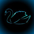 Beautiful multicolored abstract silhouette of a swan. One line drawing. Blue swan on a black background. Vector Royalty Free Stock Photo