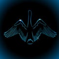 Beautiful multicolored abstract silhouette of a swan. One line drawing. Blue swan on a black background. Vector Royalty Free Stock Photo