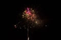 Beautiful multicolored firework explode in night sky