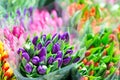 Beautiful multicolored flower bouquets. Various fresh tulips at flower shop. Wholesale or retail flower store. Plant warehouse. Fl