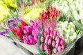 Beautiful multicolored flower bouquets. Various fresh tulips at flower shop. Wholesale or retail flower store. Plant warehouse. Fl Royalty Free Stock Photo