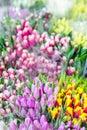 Beautiful multicolored flower bouquets. Various fresh tulips at flower shop. Wholesale or retail flower store. Plant warehouse. Fl Royalty Free Stock Photo