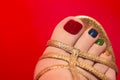 Beautiful multicolored pedicure. Royalty Free Stock Photo
