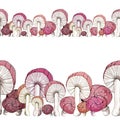 Beautiful mushroom border with red cap on white background