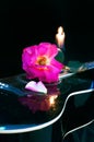 Beautiful musical composition guitar rose and candle Royalty Free Stock Photo