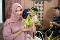 muslim family and friend making ketupat for eid fitr mubarak