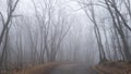 Beautiful mysterious mystical misty road in the forest. Park in autumn or winter. Bald trees against the background of thick fog. Royalty Free Stock Photo