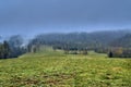 A beautiful mysterious view of the forest in the Bieszczady mountains Poland on a misty autumn day Royalty Free Stock Photo