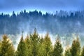 A beautiful mysterious view of the forest in the Bieszczady mountains Poland on a misty autumn day Royalty Free Stock Photo