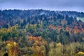 A beautiful mysterious view of the forest in the Bieszczady mountains Poland on a misty autumn day Royalty Free Stock Photo