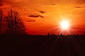 Beautiful mystic red sunset over the forest