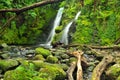 Venford Falls, near Dartmoor, Devon