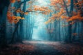 Beautiful mystical forest in blue fog in autumn. Colorful landscape with enchanted trees with orange and red leaves. Scenery with Royalty Free Stock Photo