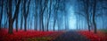 Beautiful Mystical Forest In Blue Fog In Autumn Royalty Free Stock Photo