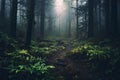 Beautiful mystical forest and sunbeam - Fantasy Wood Royalty Free Stock Photo