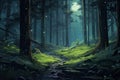 Beautiful mystical forest and sunbeam - Fantasy Wood Royalty Free Stock Photo