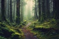 Beautiful mystical forest and sunbeam - Fantasy Wood