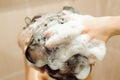 Beautiful naked young woman taking shower in bathroom. Royalty Free Stock Photo