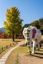 Beautiful Namiseom Nami Island on Han river in South Korea during Autumn season Royalty Free Stock Photo