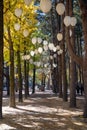 Beautiful Namiseom Nami Island on Han river in South Korea during Autumn season Royalty Free Stock Photo