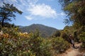 Beautiful narrow hike path at Santa Anita Canyon, Angeles National Forest, San Gabriel Mountain Range near Los Angeles Royalty Free Stock Photo