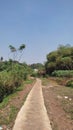 beautiful narrow road