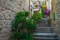 Beautiful narrow street with flowers and green plants, Hvar, Croatia Royalty Free Stock Photo