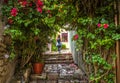 Beautiful narrow street with flowers in Plaka district, Athens, Greece