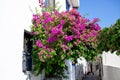 Beautiful narrow street in old town of Marmaris with plants and flowers on sunny day, Turkey. Blue balcony and door on Royalty Free Stock Photo