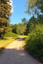 Beautiful narrow and winding trail in Arboretum Alexandria in Bila Tserkva. Scenic nature landscape. Royalty Free Stock Photo