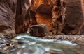 Beautiful The Narrows landscape in Zion national park, Utah Royalty Free Stock Photo