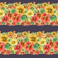 Beautiful nasturtium flowers with green leaves on dark background. Seamless floral pattern. Horizontal border. Watercolor painting Royalty Free Stock Photo