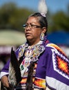 Beautiful Native American Woman Royalty Free Stock Photo