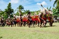 Native Dragon Dance Ceremony, Kopar Village, Sepik River, Papua New Guinea Royalty Free Stock Photo