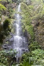 Beautiful natrual waterfall Royalty Free Stock Photo