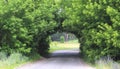 Beautiful natural arch, similar to tunne Royalty Free Stock Photo