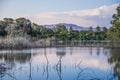 The beautiful natural Athalassa lake in Cyprus Beautifully lit water full of birds during a beautiful afternoon time Royalty Free Stock Photo