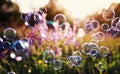 Beautiful natural background with summer clear green meadow with pink flowers and soap bubbles brightly shimmer and fly in the air Royalty Free Stock Photo